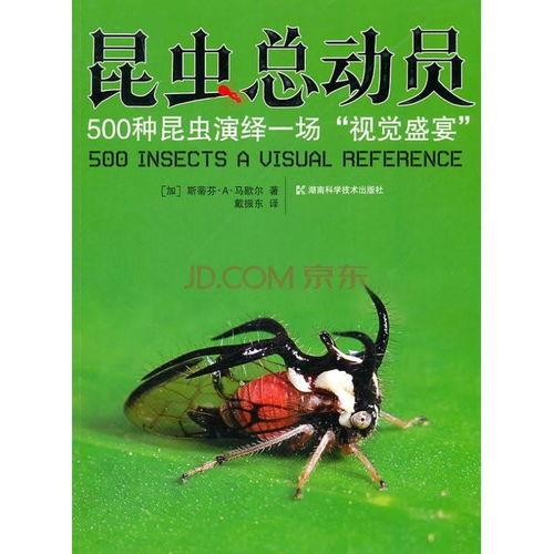 昆虫演绎之星爆料视频在线观看,揭秘神奇昆虫世界的精彩瞬间